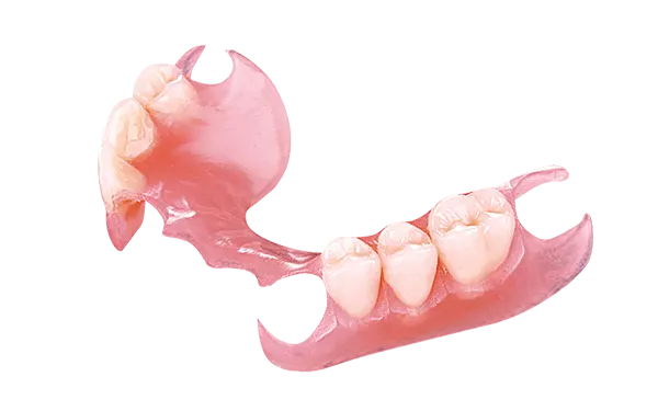 Partial Denture